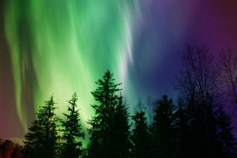 Aurora Borealis over Trees — Green, Dramatic, Night, Photograph, Sky, Stars, Purple