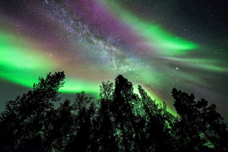 Aurora Borealis over Trees — Green, Dramatic, Night, Photograph, Stars, Milky Way