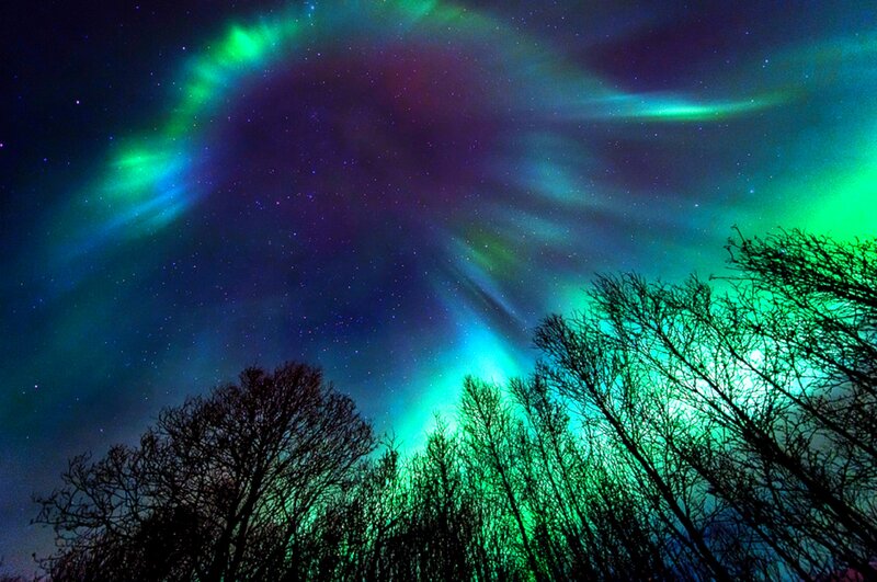 Aurora Borealis over Trees — Green, Dramatic, Night, Photograph, Stars