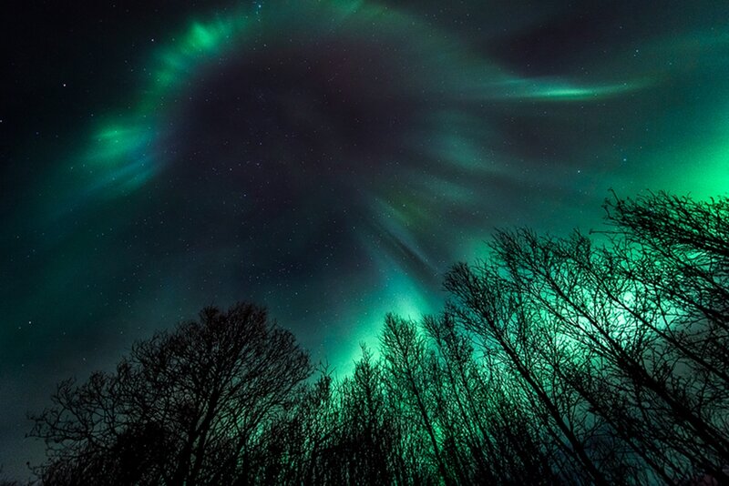Aurora Borealis over Trees — Green, Dramatic, Night, Photograph