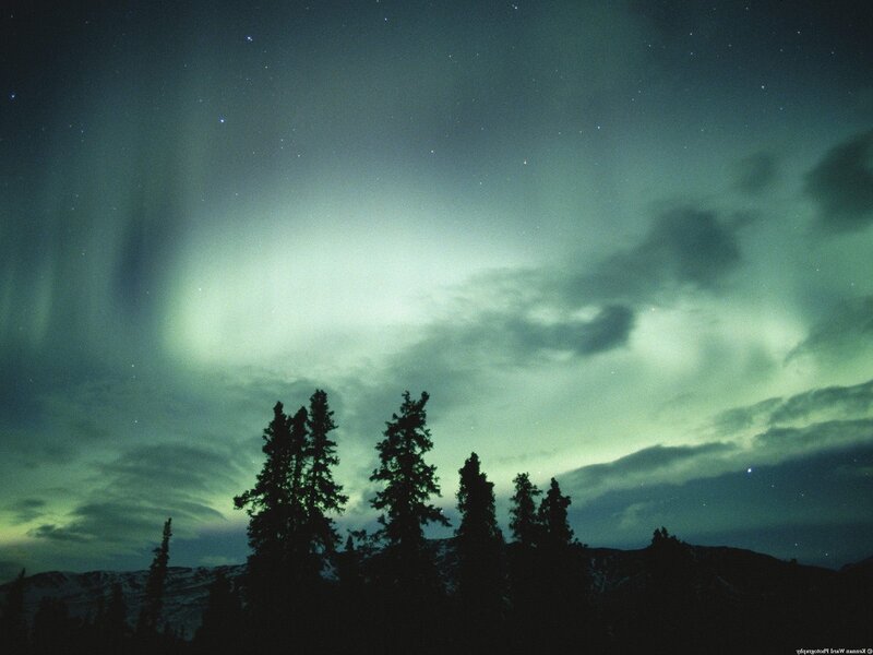 Aurora Borealis over Trees — Green, Serene, Night, Photograph, Clouds