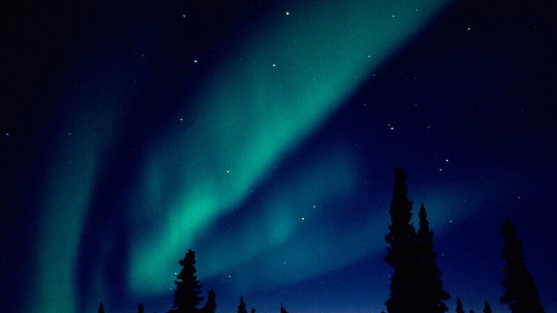 Aurora Borealis over Trees — Green, Serene, Night, Photograph, Stars, Blue
