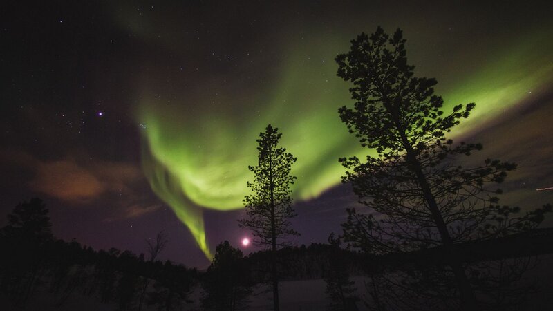 Aurora Borealis over Trees — Green, Serene, Night, Photograph, Stars, Moon