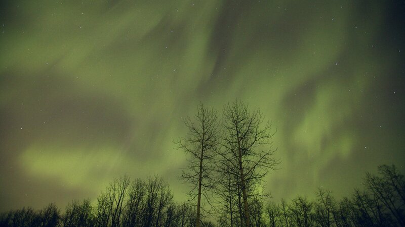 Aurora Borealis over Trees — Green, Serene, Night, Photograph, Stars, Sky, Black
