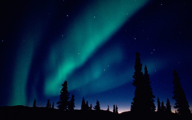 Aurora Borealis over Trees — Green, Serene, Night, Photograph, Stars, Sky, Blue