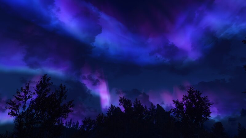 Aurora Borealis over Trees — Purple, Dramatic
