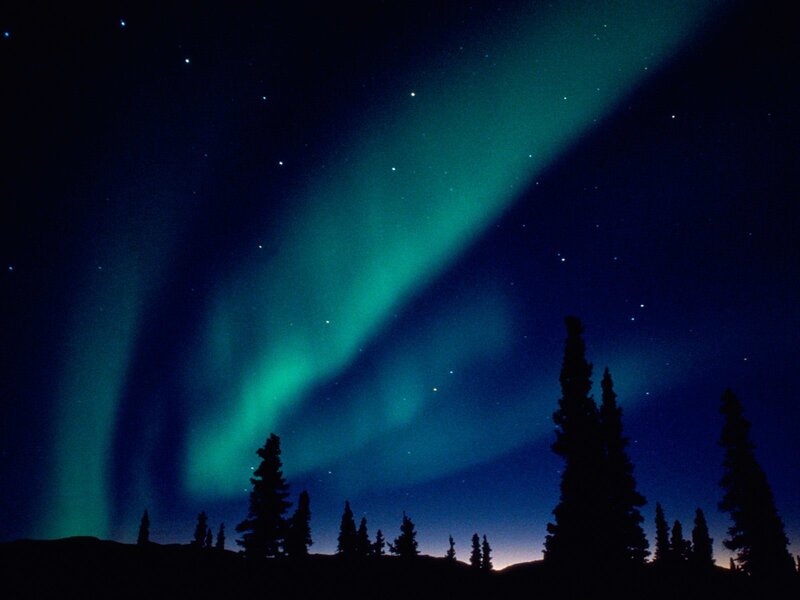 Aurora Borealis over Trees — Stars