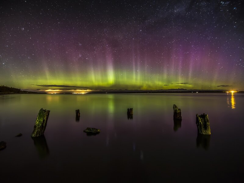 Aurora Borealis over Water — Green, Serene, Night, Photograph, Stumps