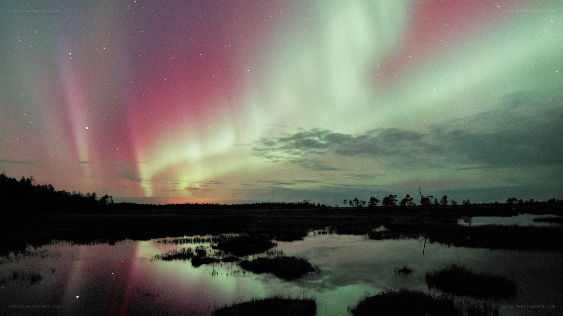 Aurora borealis over wetlands