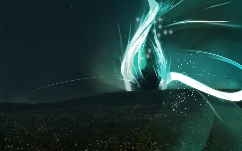 aurora lights over a field