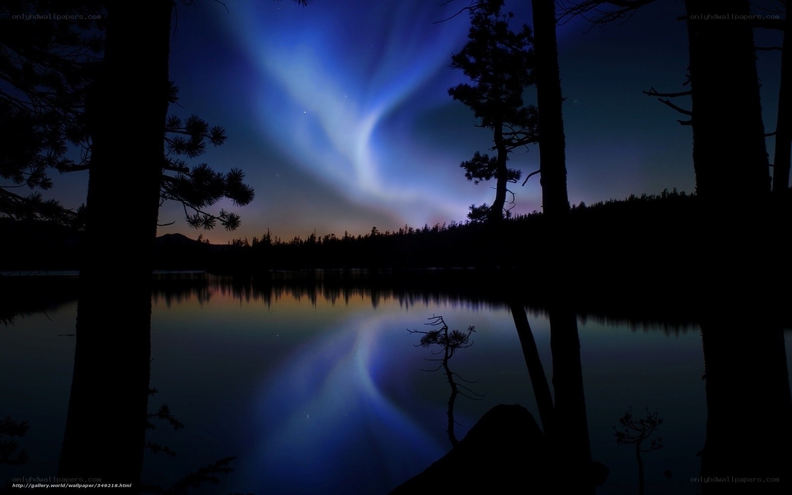 Aurora over a forest lake