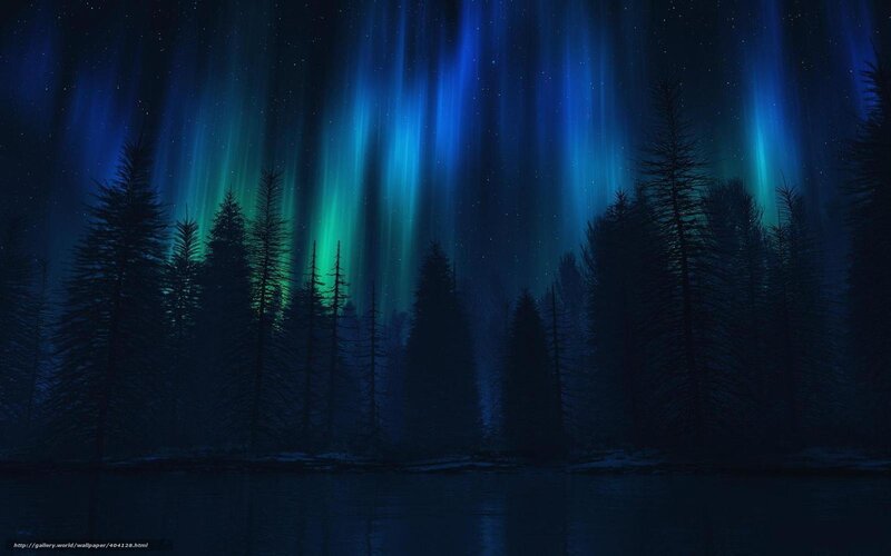 Aurora over a forest lake