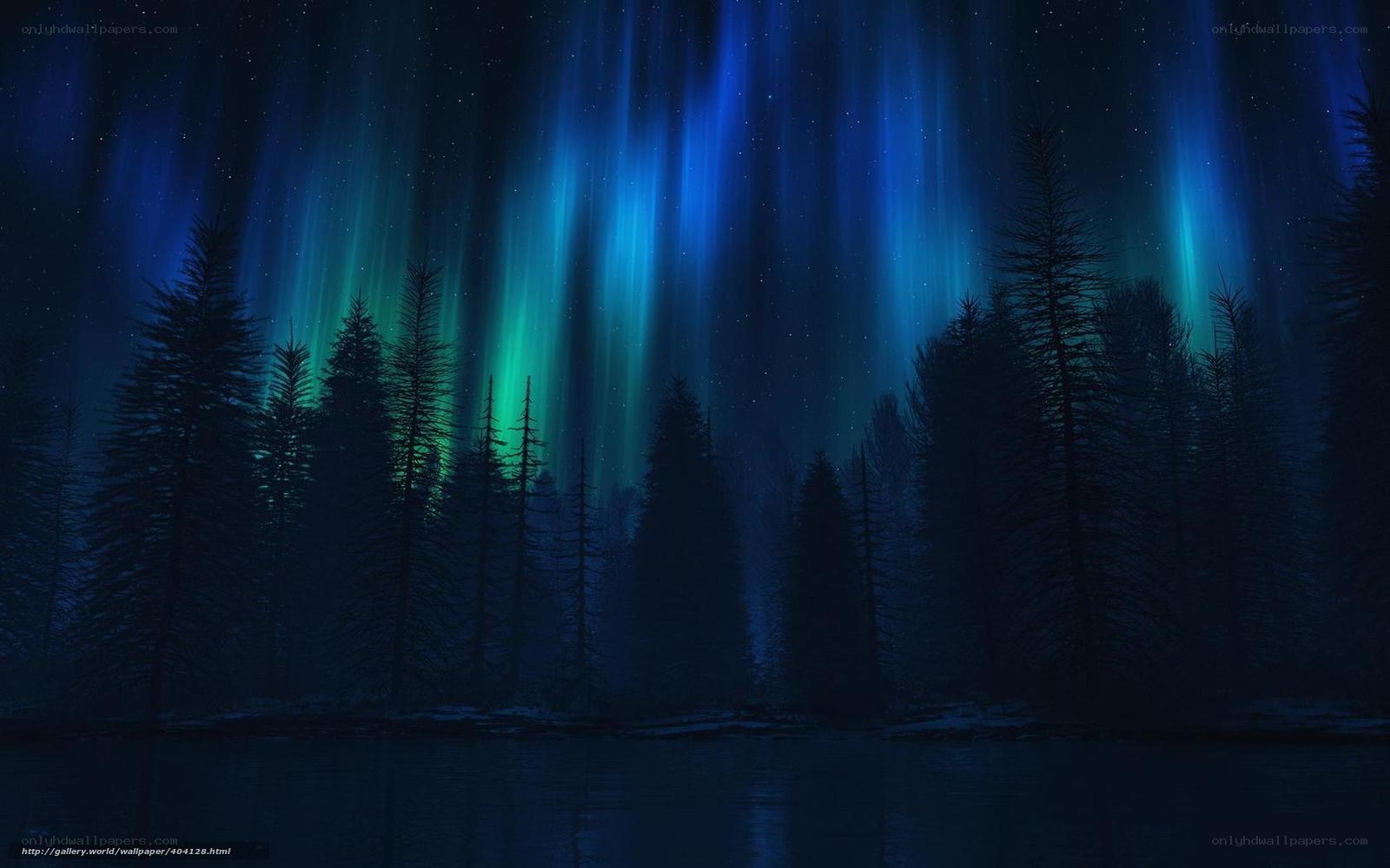 Aurora over a forest lake