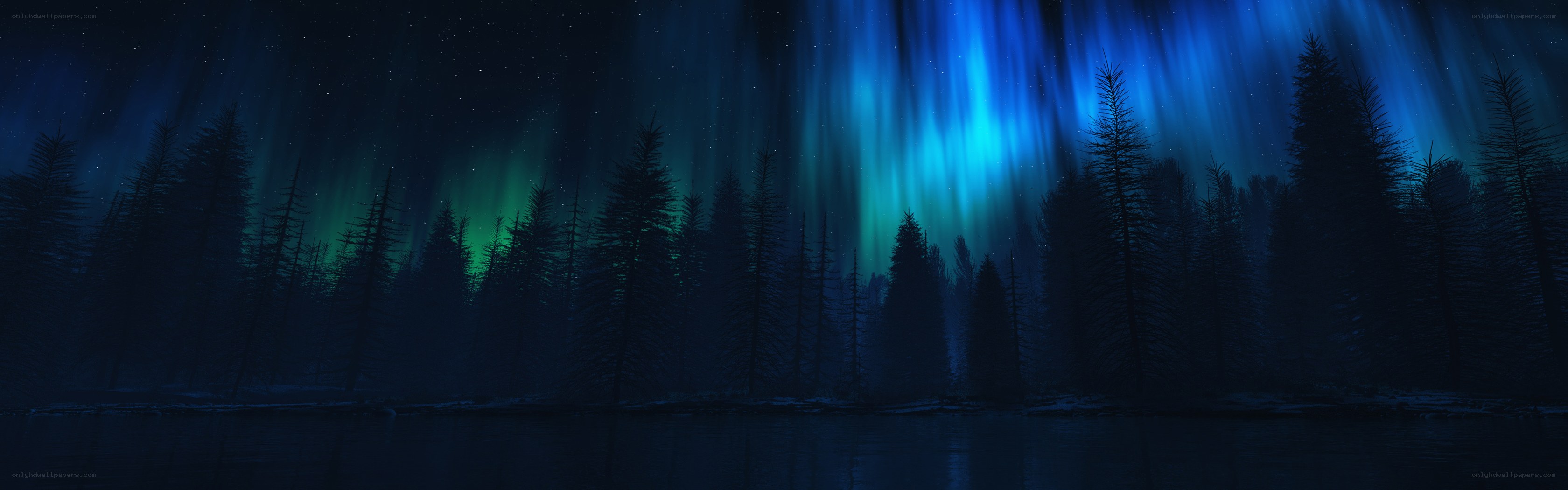 Aurora over a forest lake