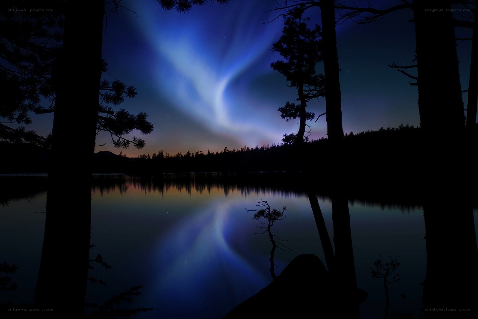 Aurora over a forest lake