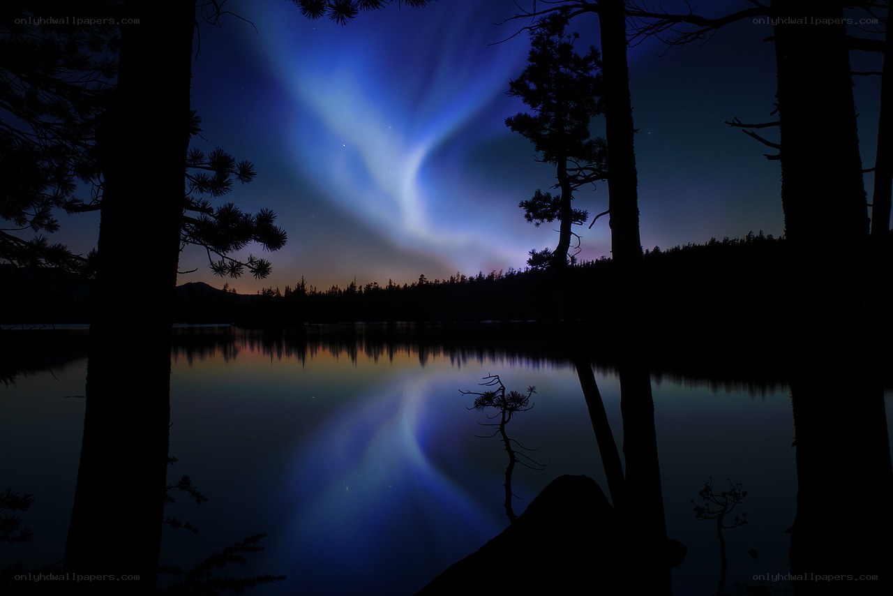 Aurora over a forest lake
