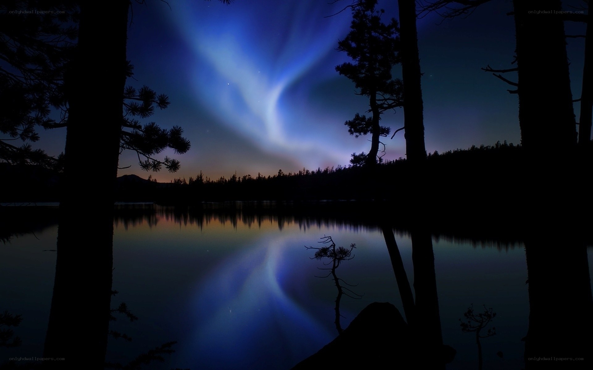 Aurora over a forest lake