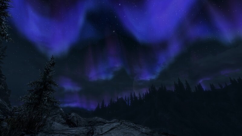 Aurora over a forested landscape