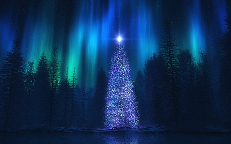 Aurora over a glowing Christmas tree