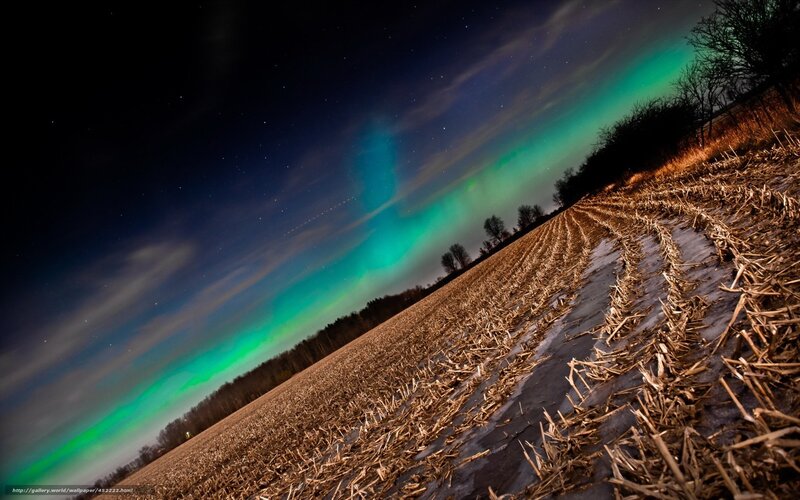 Aurora over a harvested field