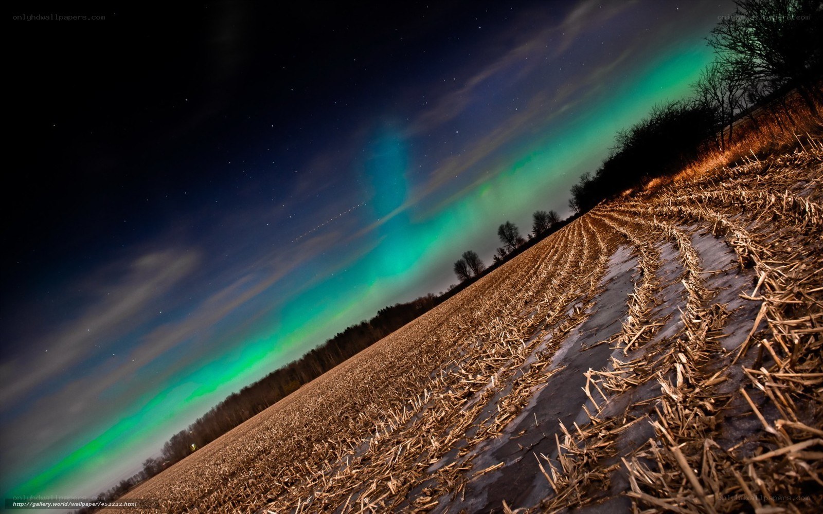 Aurora over a harvested field