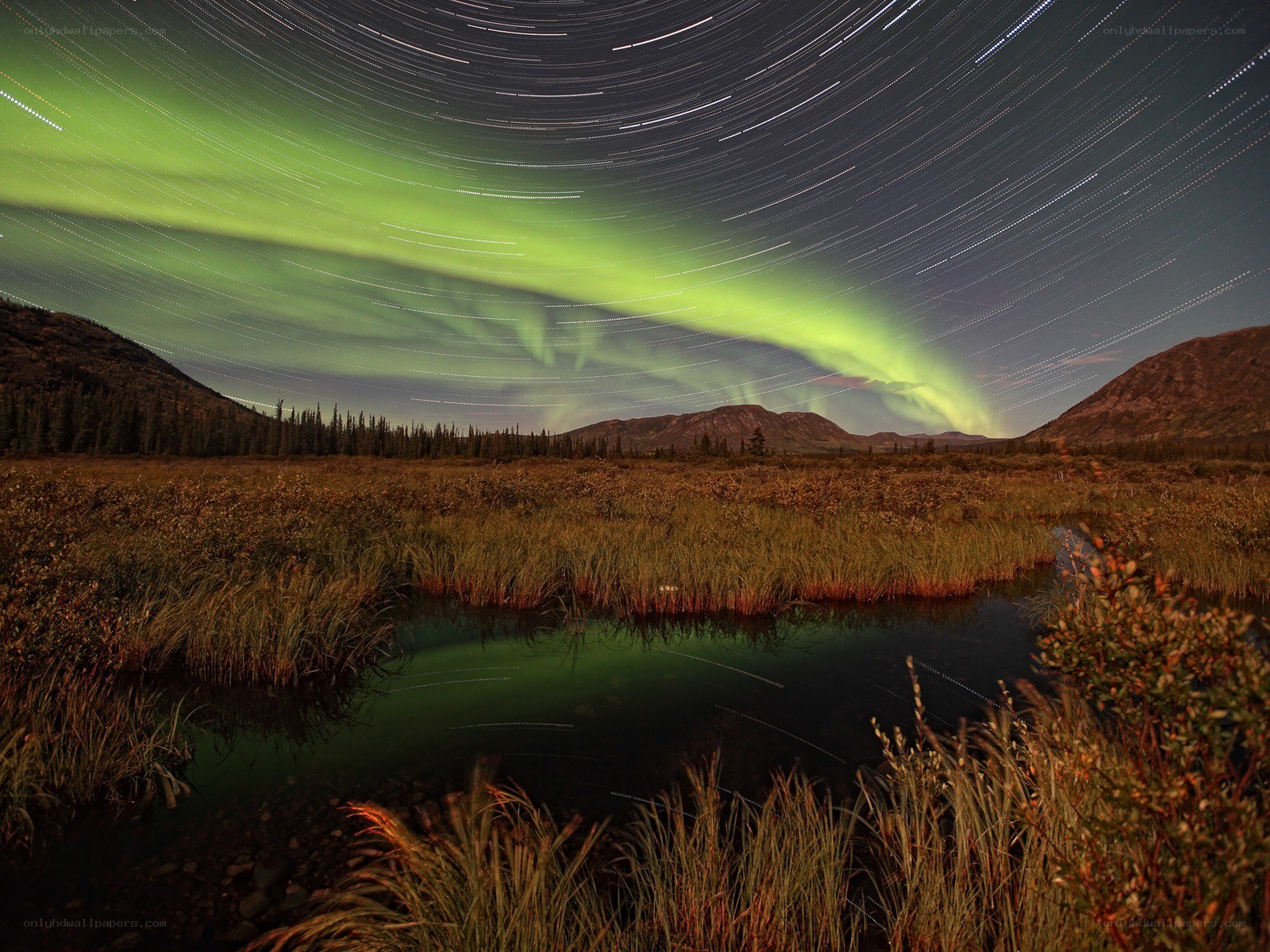 Aurora over a marsh landscape