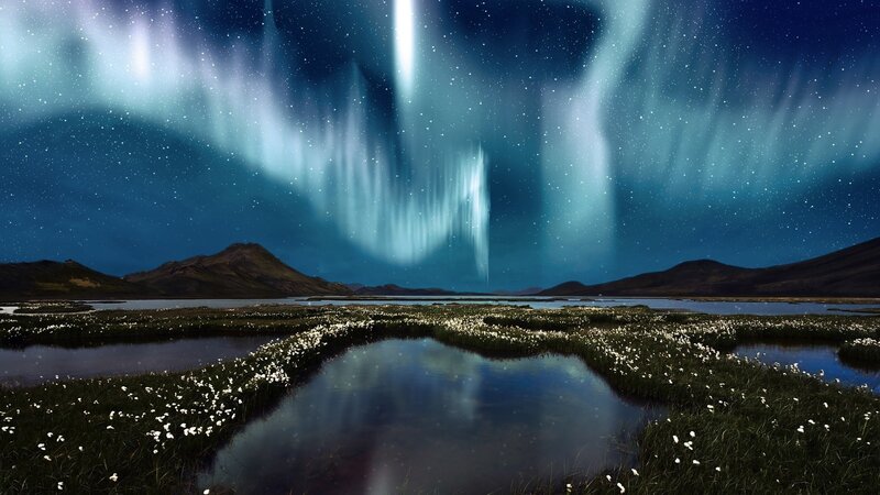 Aurora over a marshy landscape