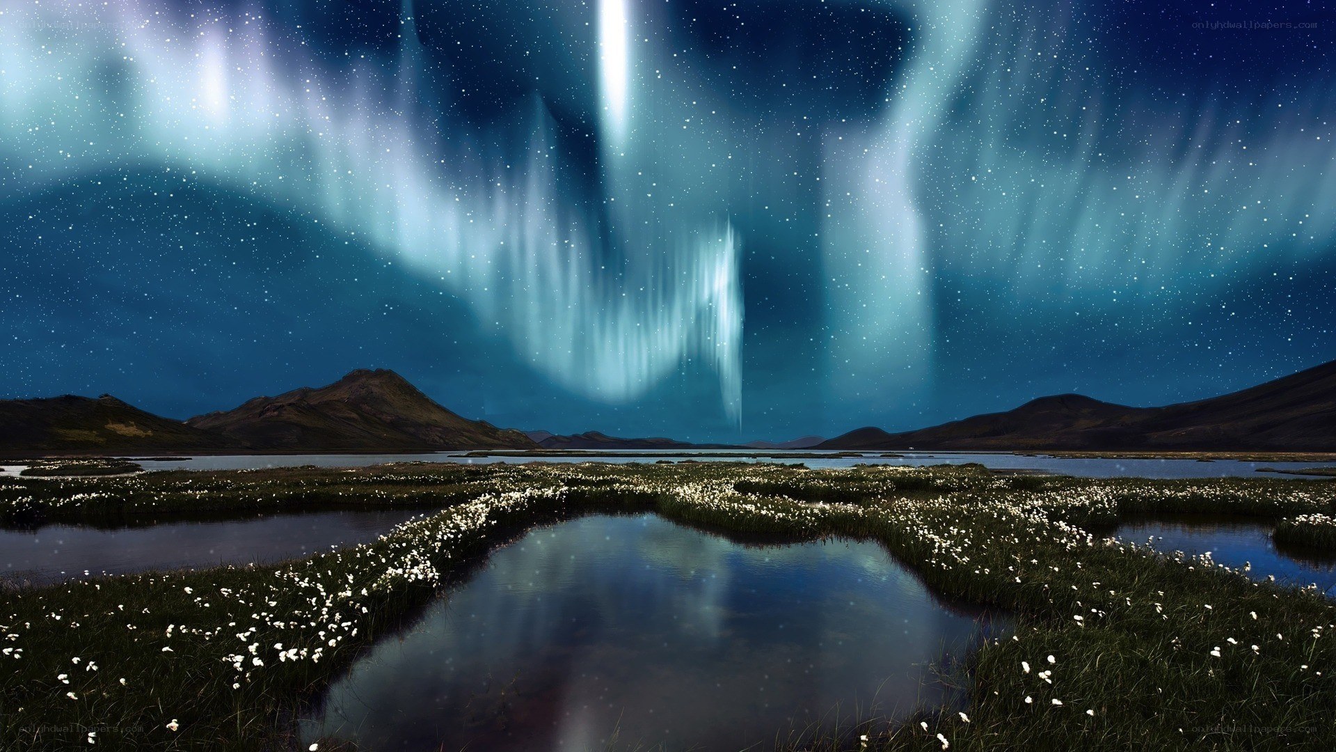 Aurora over a marshy landscape