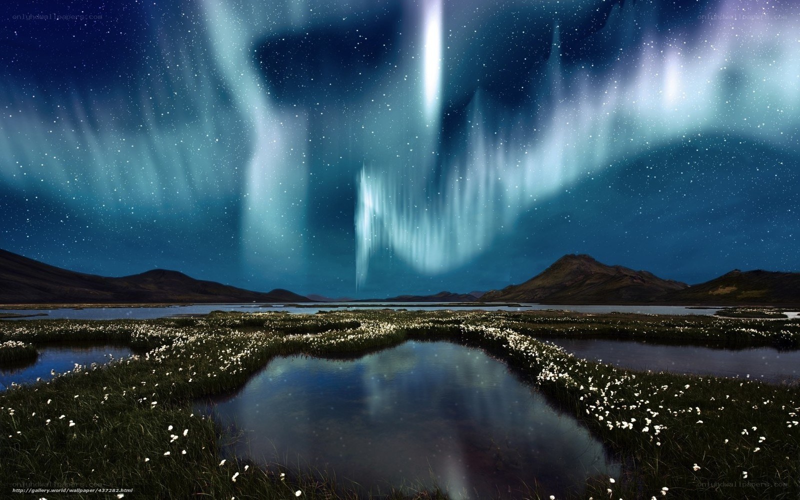 Aurora over a marshy landscape