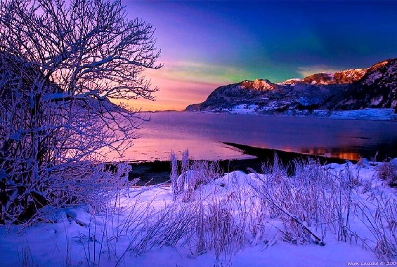Aurora over a snowy fjord