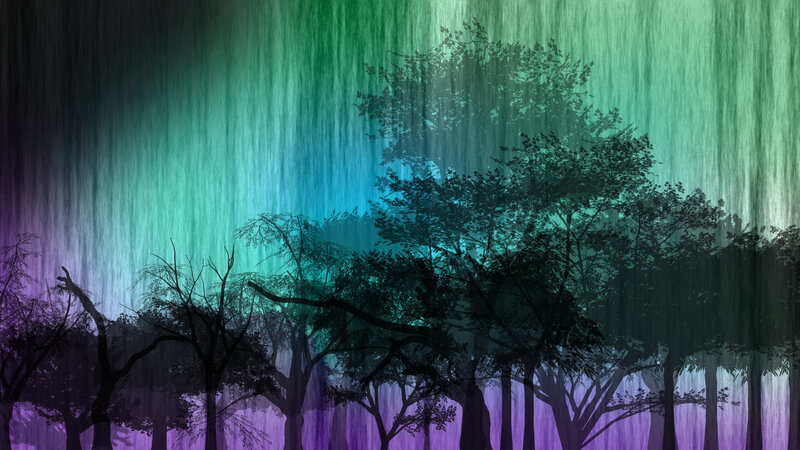 aurora over forest silhouette