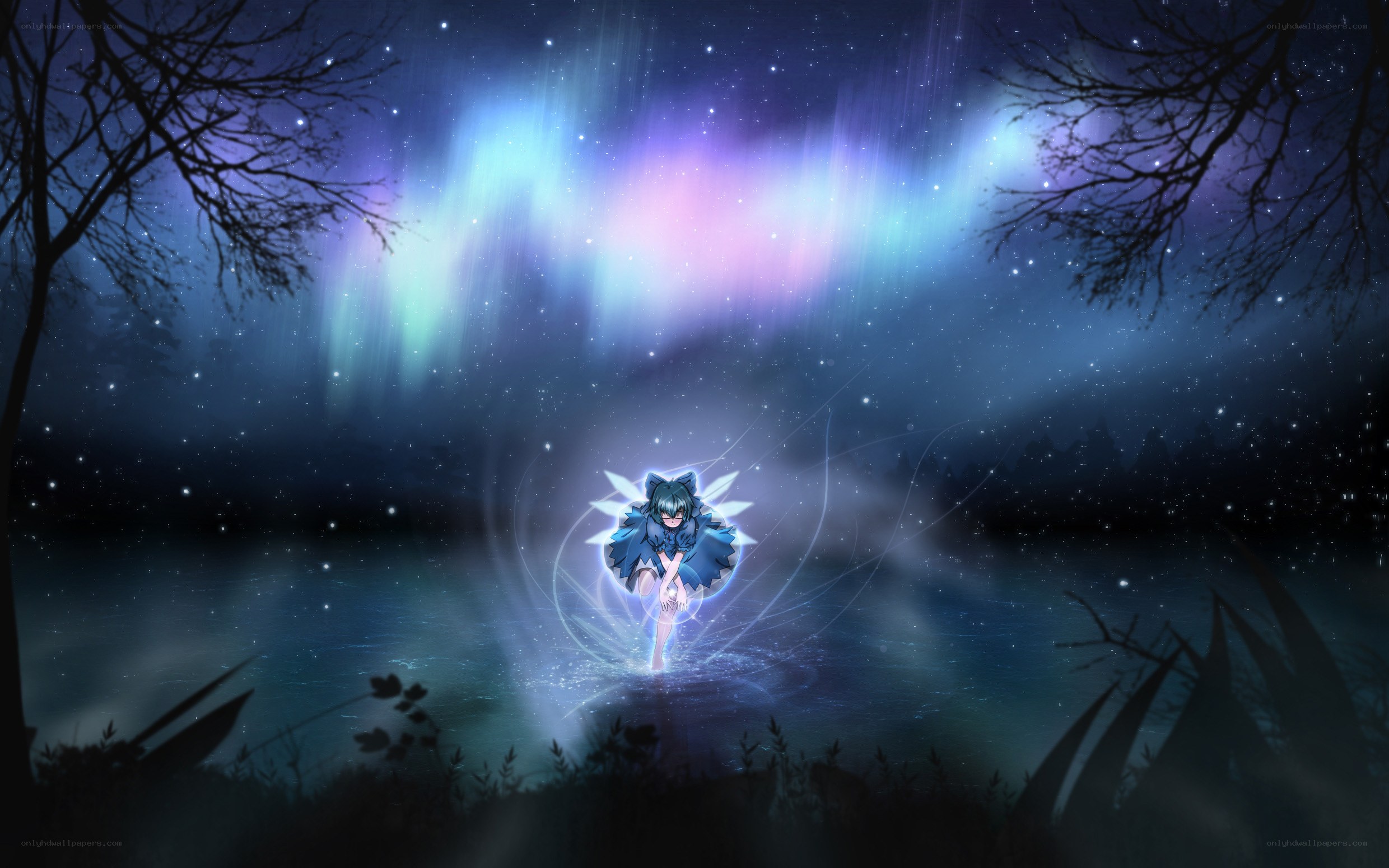 aurora over the lake