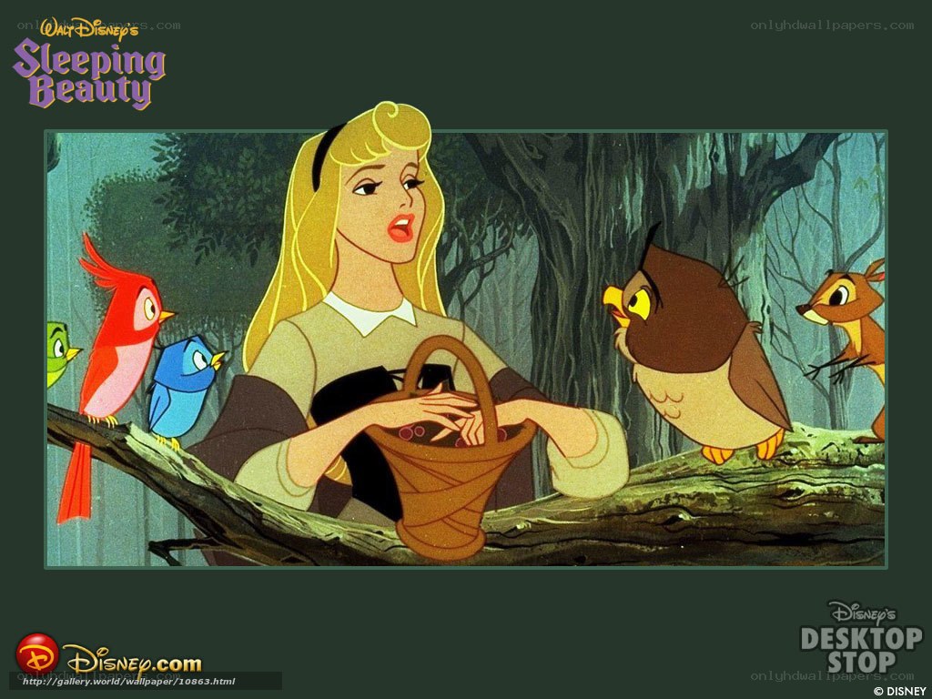 Aurora with forest animals