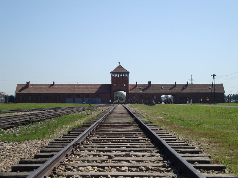 Auschwitz Concentration Camp — Brown