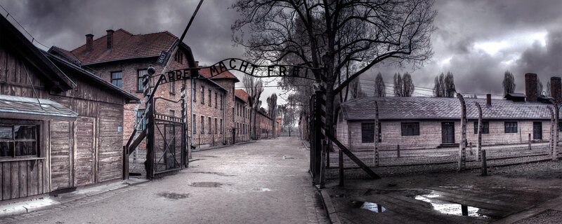 Auschwitz Concentration Camp — Gray, Dramatic