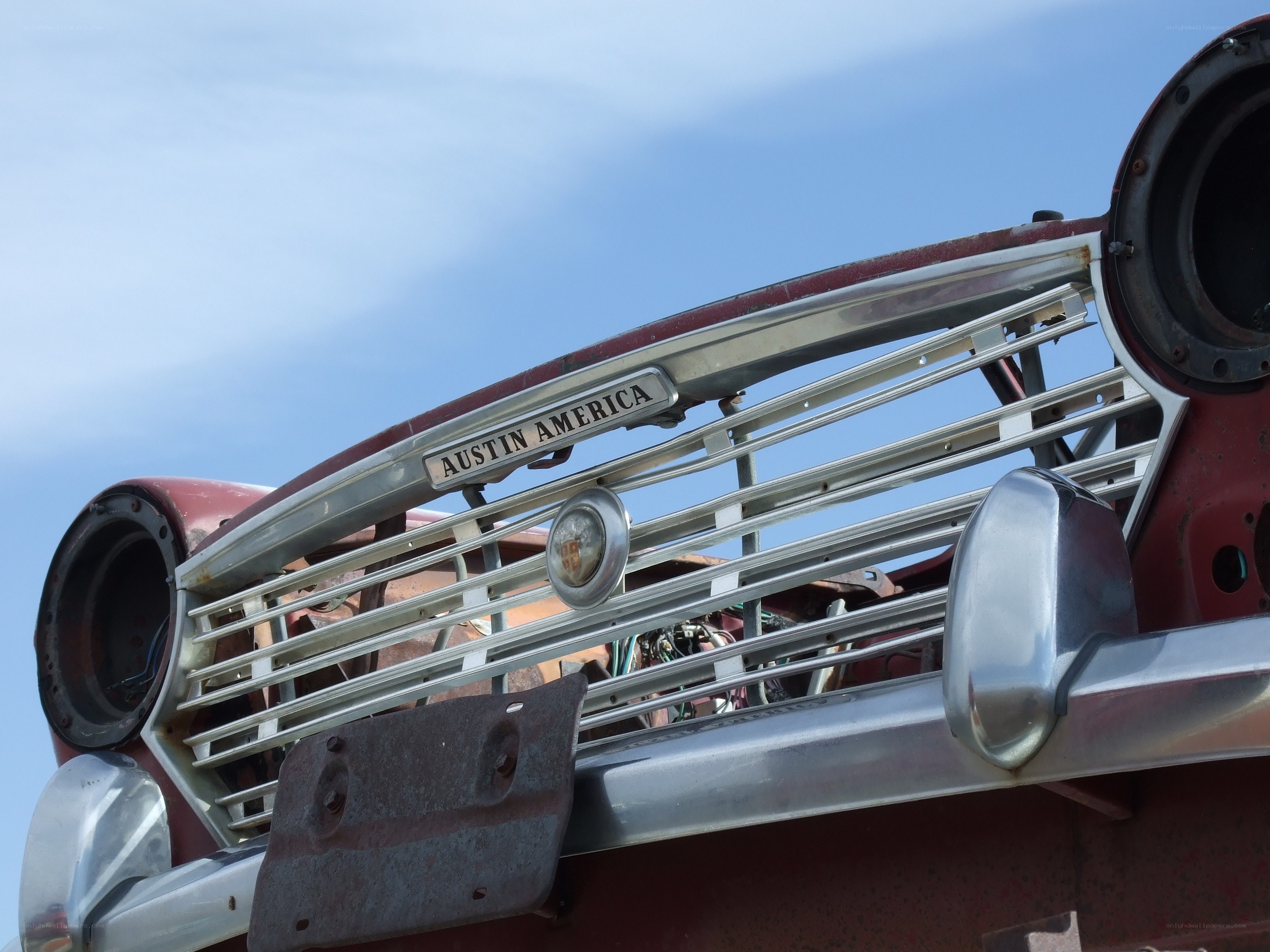 Austin America car grille