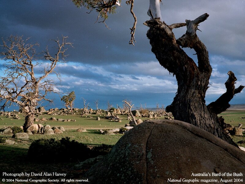 Australia's Bard of the Bush