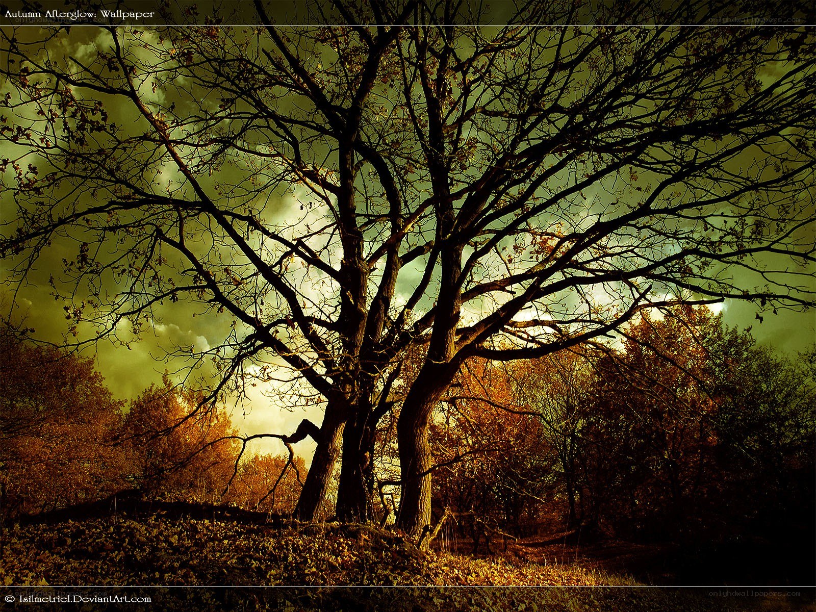 Autumn Afterglow Wallpaper