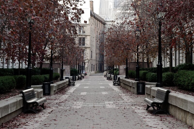 Autumn alley with benches