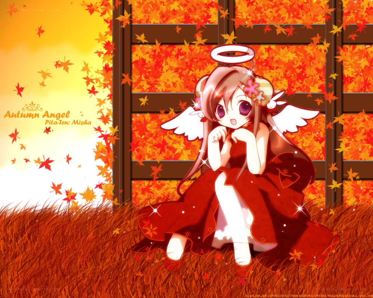 Autumn Angel Misha