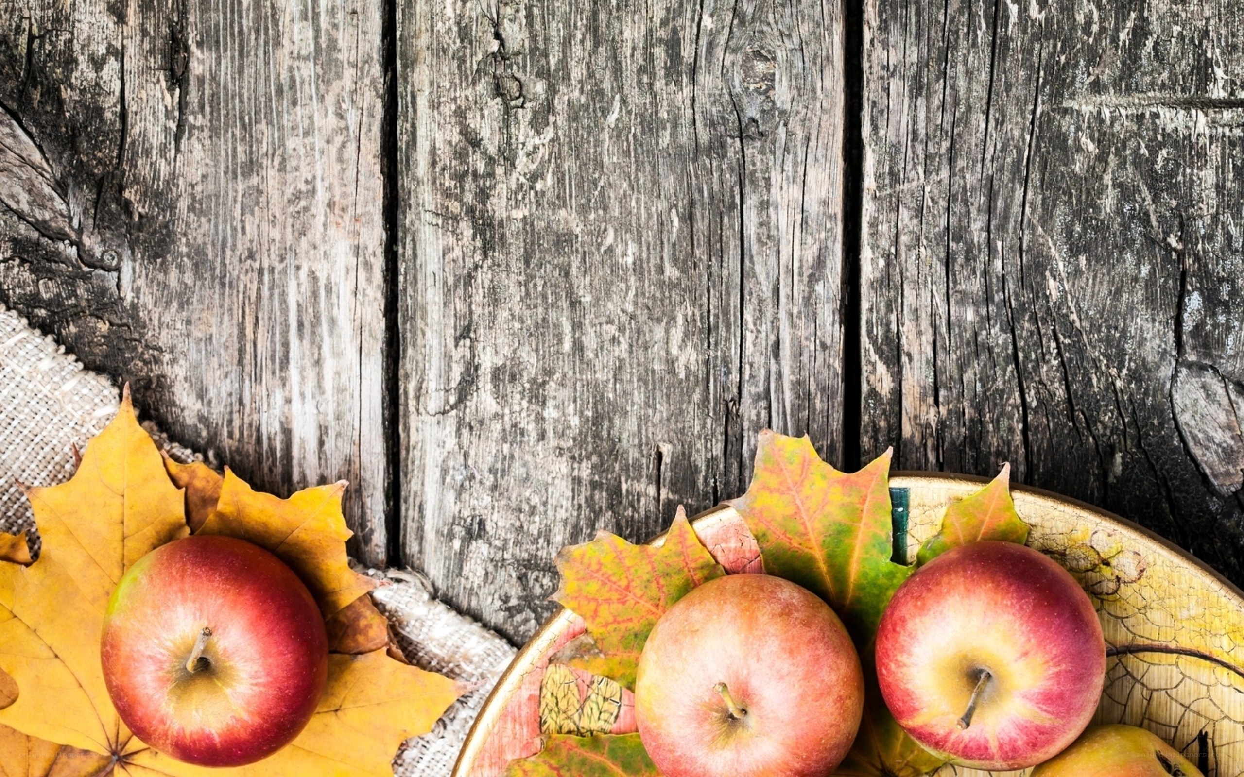 Autumn apples and leaves
