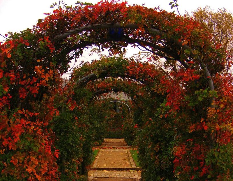 Autumn Archway Tunnel