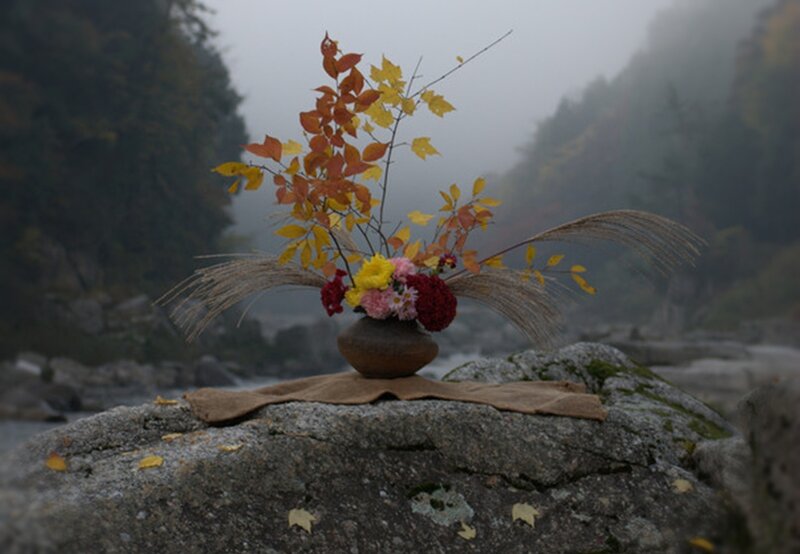 Autumn Arrangement on Rock
