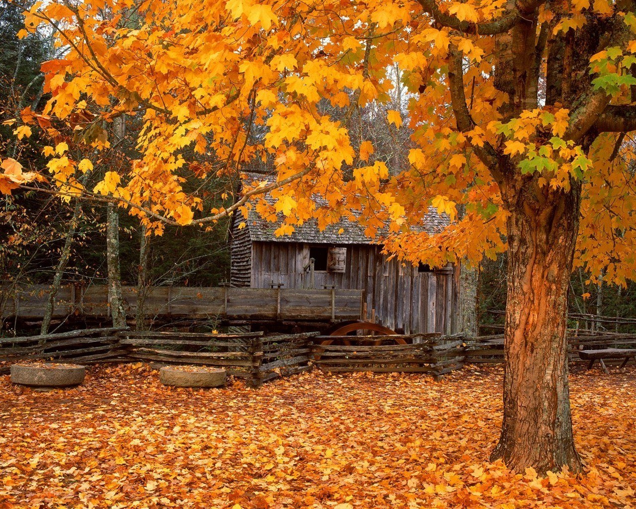 Autumn at a historic mill