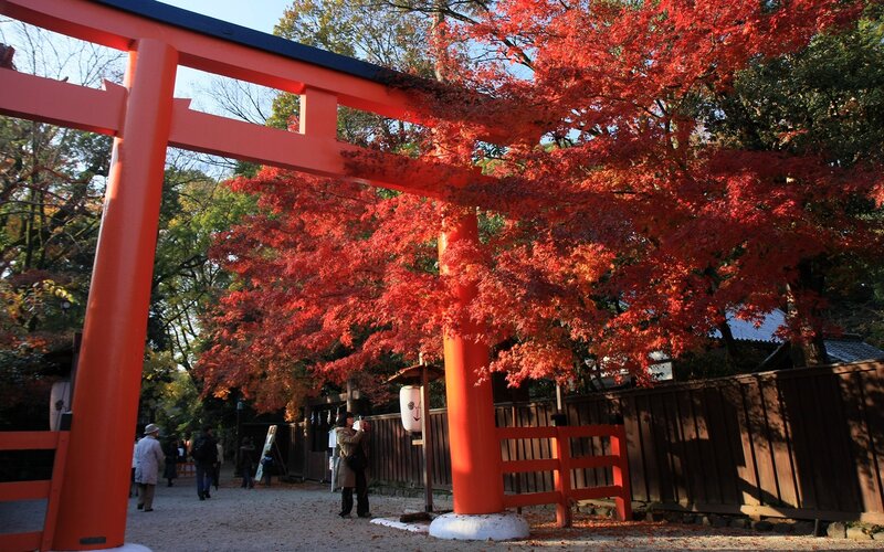 Autumn at a Japanese shrine