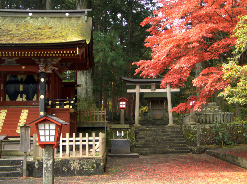 Autumn at a Japanese shrine