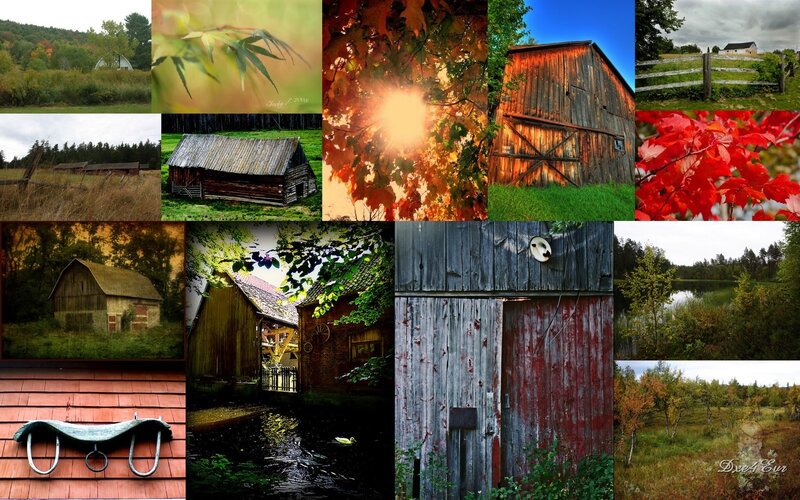 Autumn barn collage