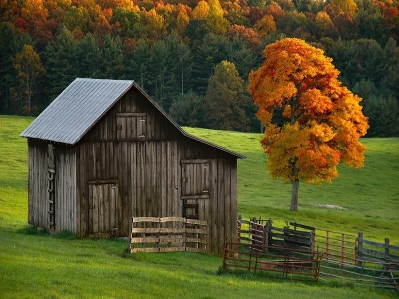 Autumn barn in a green field