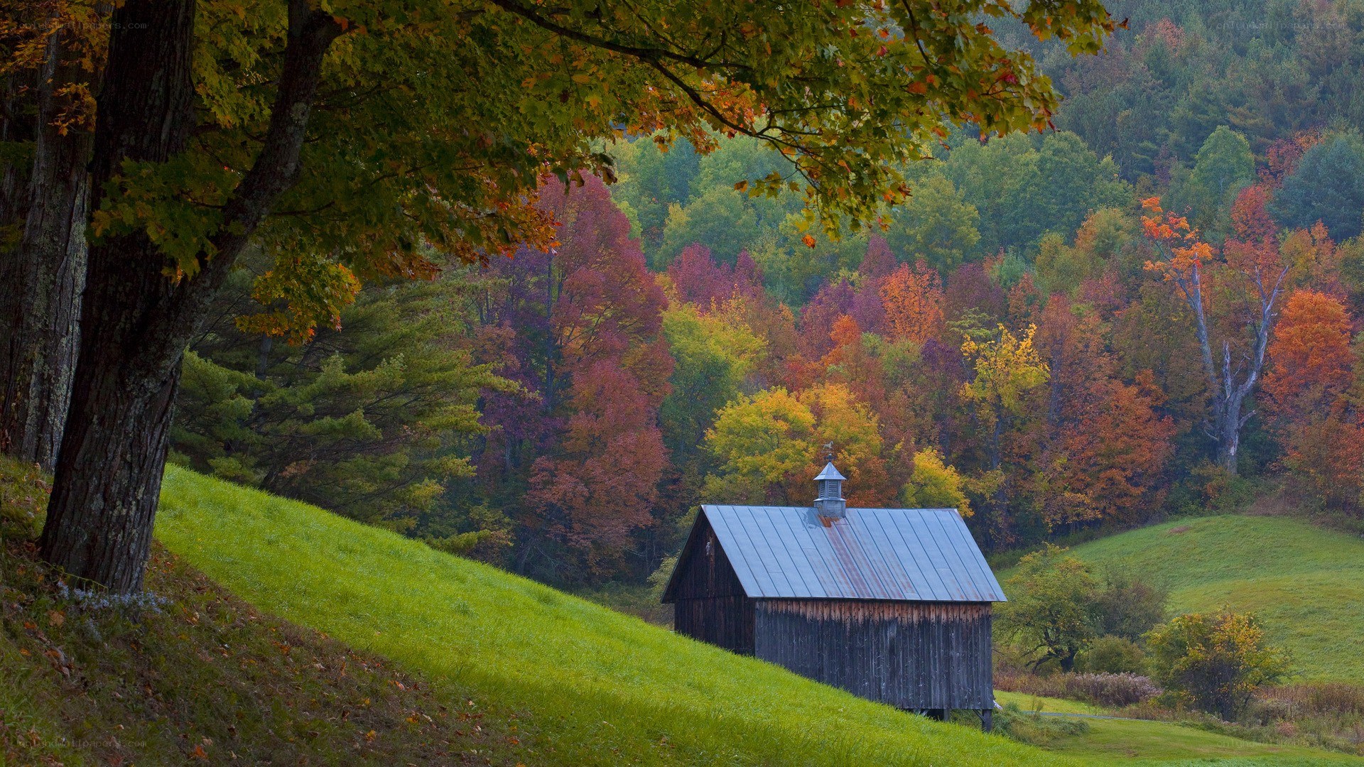 Autumn barn in Vermont