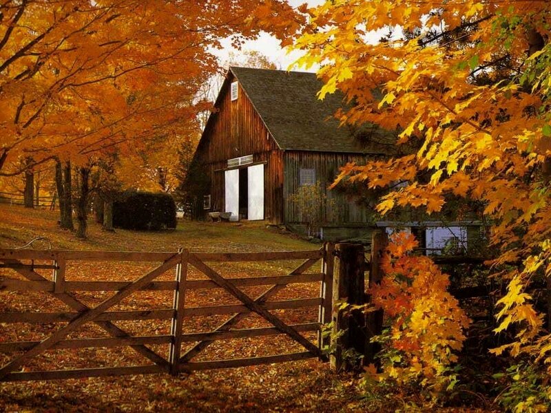 Autumn barn scene
